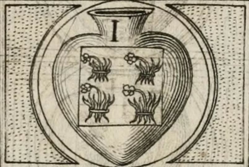 Sesión 6: Paola Uparela, «invaginación»