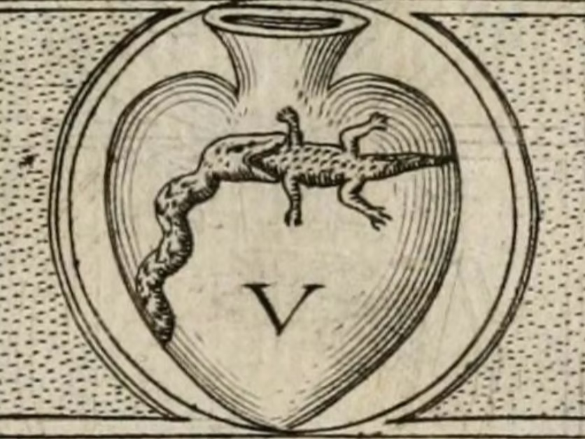 Sesión 9: Loreley El Jaber «voces subalternas»